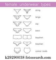 נקבה, תחתונים, סוגים