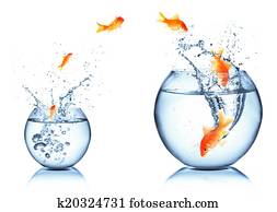 carreira, e, crescimento, conceito