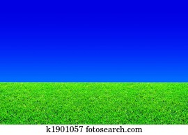 Green grass