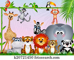 jungle animals jungle animals