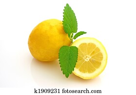 Lemon Lemon