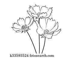 Sketch of wild flowers. Sketch of wild flowers.