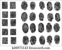 fingerprint identification