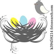 bird nest bird nest