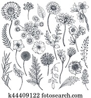 Collection of hand drawn flowers and plants Collection of hand drawn flowers and plants