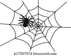 SPIDER SPIDER