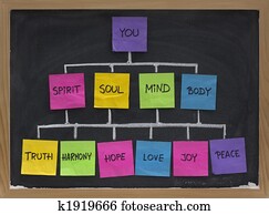 zen network concept for life in balance and harmony