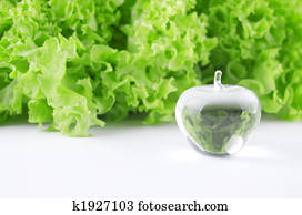 cuidado, seu, saúde