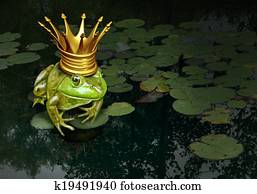 Frog Prince Concept Frog Prince Concept
