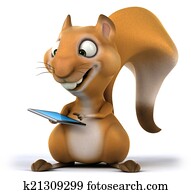 Squirrel Squirrel