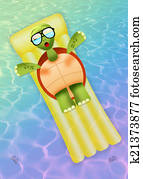 turtle in relax turtle in relax