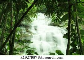 waterfalls in green forest waterfalls in green forest
