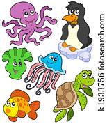 Aquatic animals collection 2 Aquatic animals collection 2
