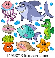 Aquatic animals collection Aquatic animals collection