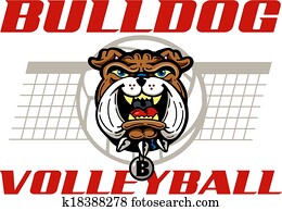 bulldog volleyball design bulldog volleyball design