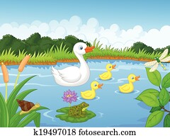 dukk familie, karikatur, svømming