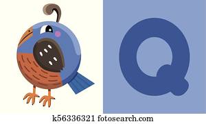 , animal, quail, Clip Art | u16110009 | Fotosearch