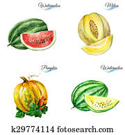 Watercolor fruits Watercolor fruits