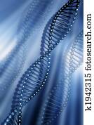 DNA strands DNA strands