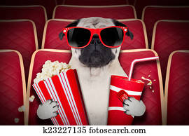 dog at the movies dog at the movies