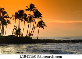 Hawaii Hawaii