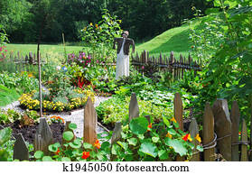 Vegetable garden Vegetable garden