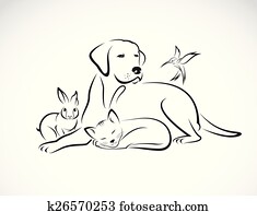 וקטור, קבץ, של, חיות בית, -, dog,, cat,, bird,, rabbit,, הפרד, בלבן, רקע