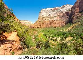 Amazing view of canyon at Zion National Park Amazing view of canyon at Zion National Park