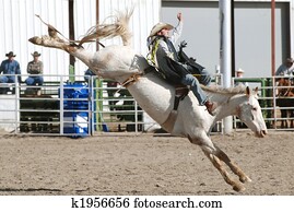 Cowboy on Bucking Bronc Cowboy on Bucking Bronc