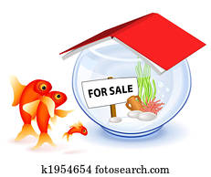 goldfish, casa nueva