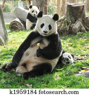 jättelik panda, och, barnen