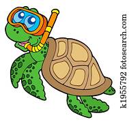 tartaruga mar, snorkel, mergulhador