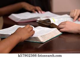 Womens Devotional Bible Study Womens Devotional Bible Study