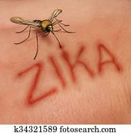 Zika Disease Concept Zika Disease Concept