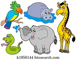 חיות פרא, בעלי חיים, אוסף