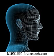 שקוף, ראש של, ה, בן אדם