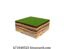 3d illustration of cross section of ground with grass isolated on white no shadow