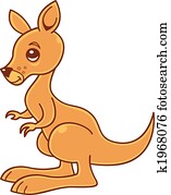 Baby Kangaroo Baby Kangaroo