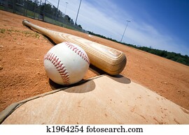 Baseball and Bat on Home Plate