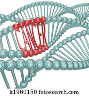 Cancer Cause Hiding in DNA Strand Cancer Cause Hiding in DNA Strand