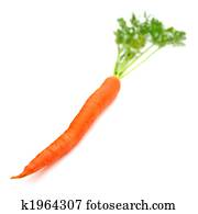 Carrots Carrots