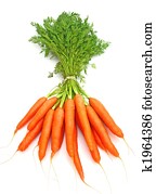 Carrots Carrots