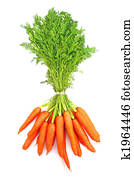 Carrots Carrots