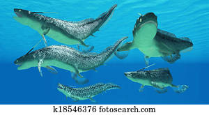 devonian, xenacanthus, fish