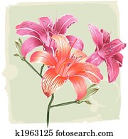 lilie, blumen, auf, grunge, hintergrund lilie, blumen, auf, grunge, hintergrund