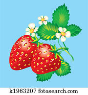 Strawberries Strawberries