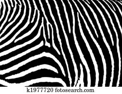 zebra pattern large zebra pattern large