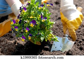 gardening gardening