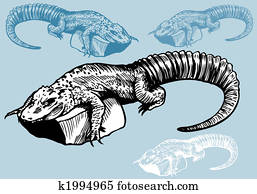 Alligator Drawing Alligator Drawing