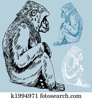 Ape Drawing Ape Drawing